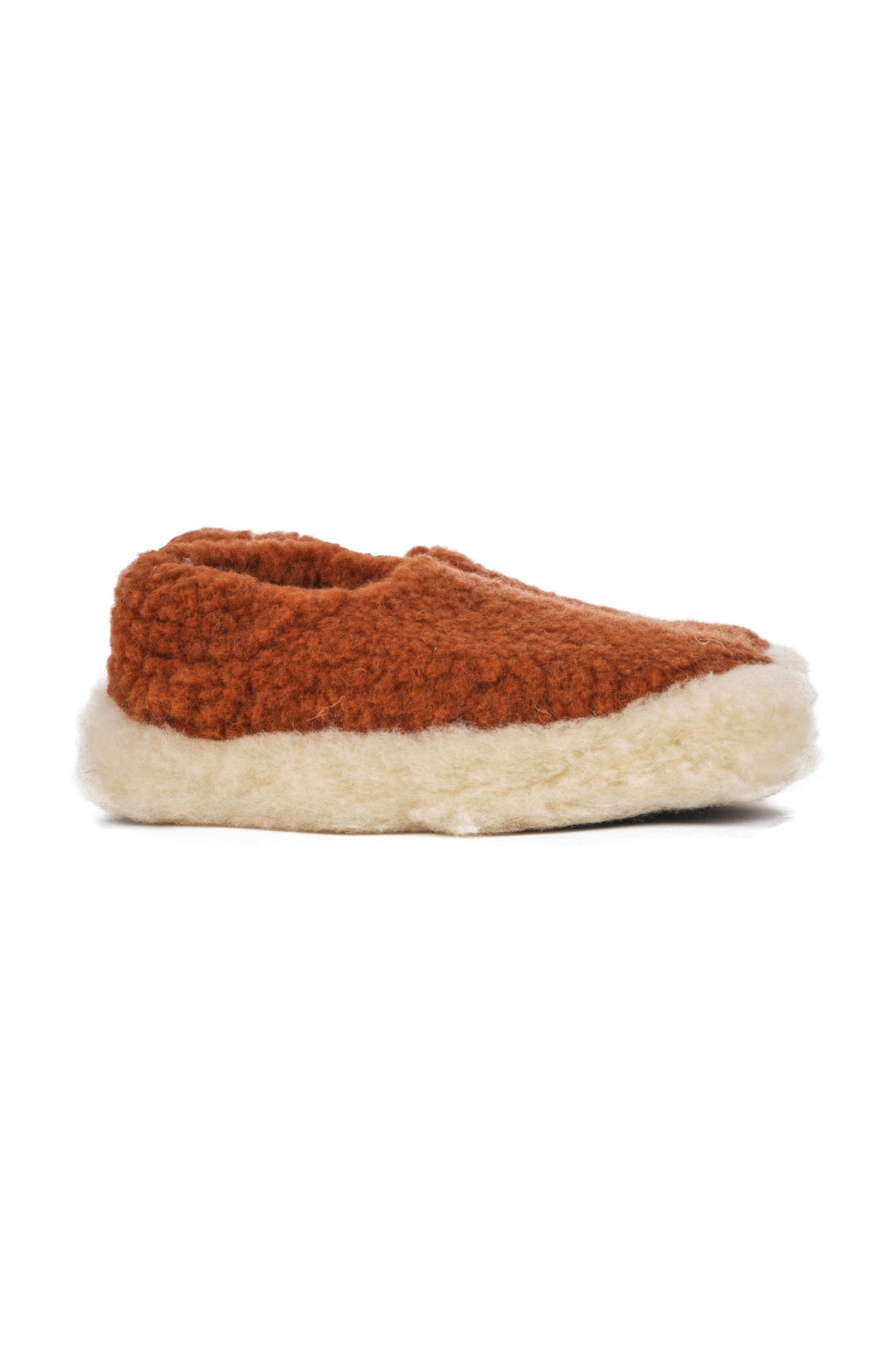 SIBERIAN SLIPPERS