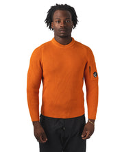 KNITWEAR CREW NECK IN FULL RIB