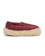 Siberian Slippers