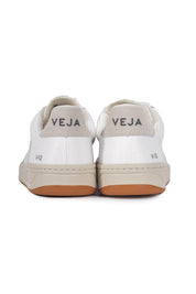 V-12 B-Mesh