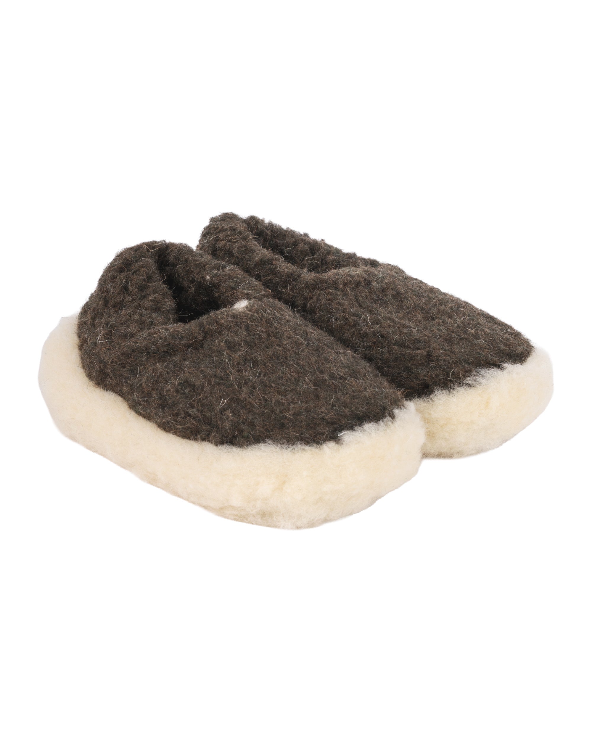 Siberian Slipper