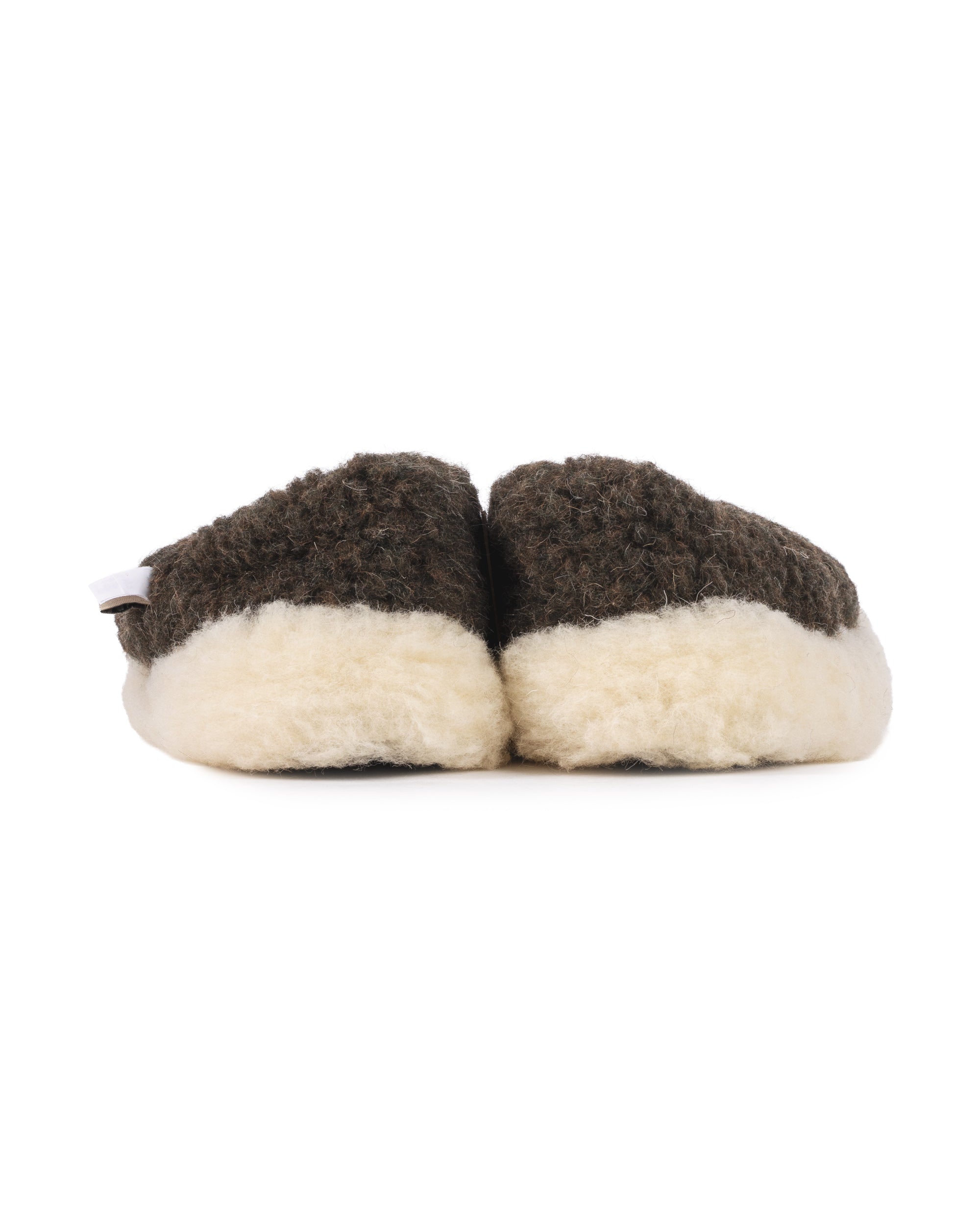 Siberian Slipper