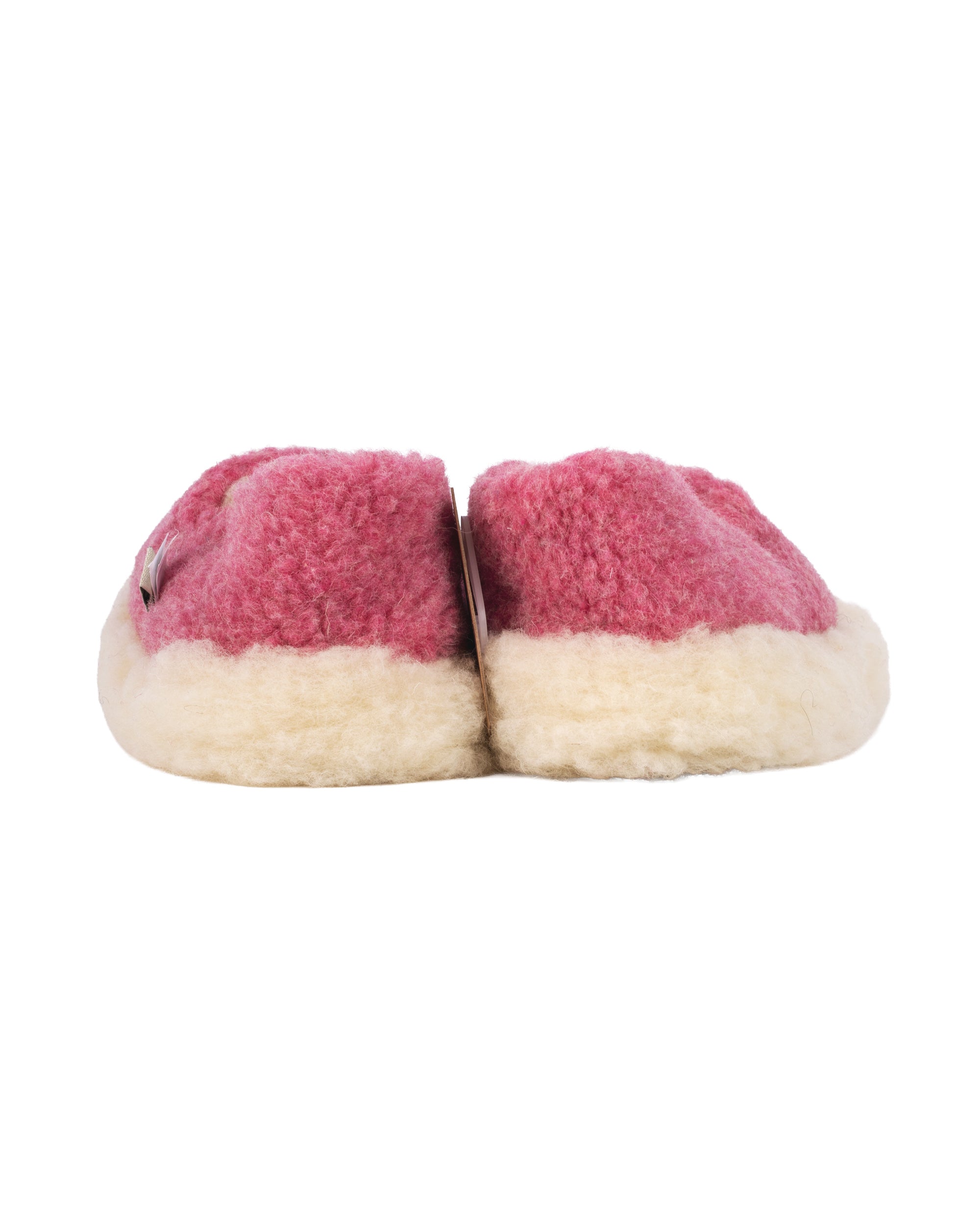 Siberian Slipper