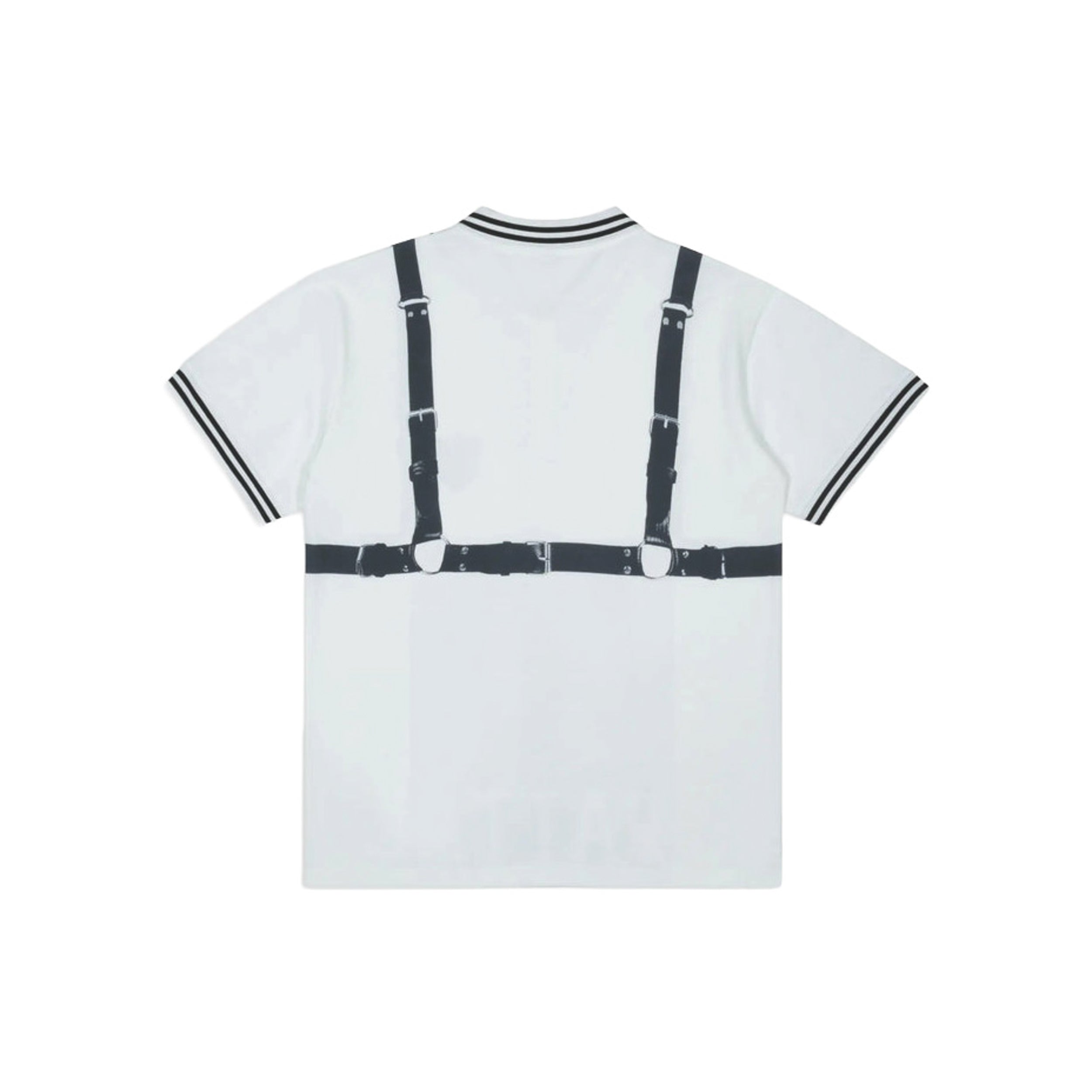 Polo X-Ray