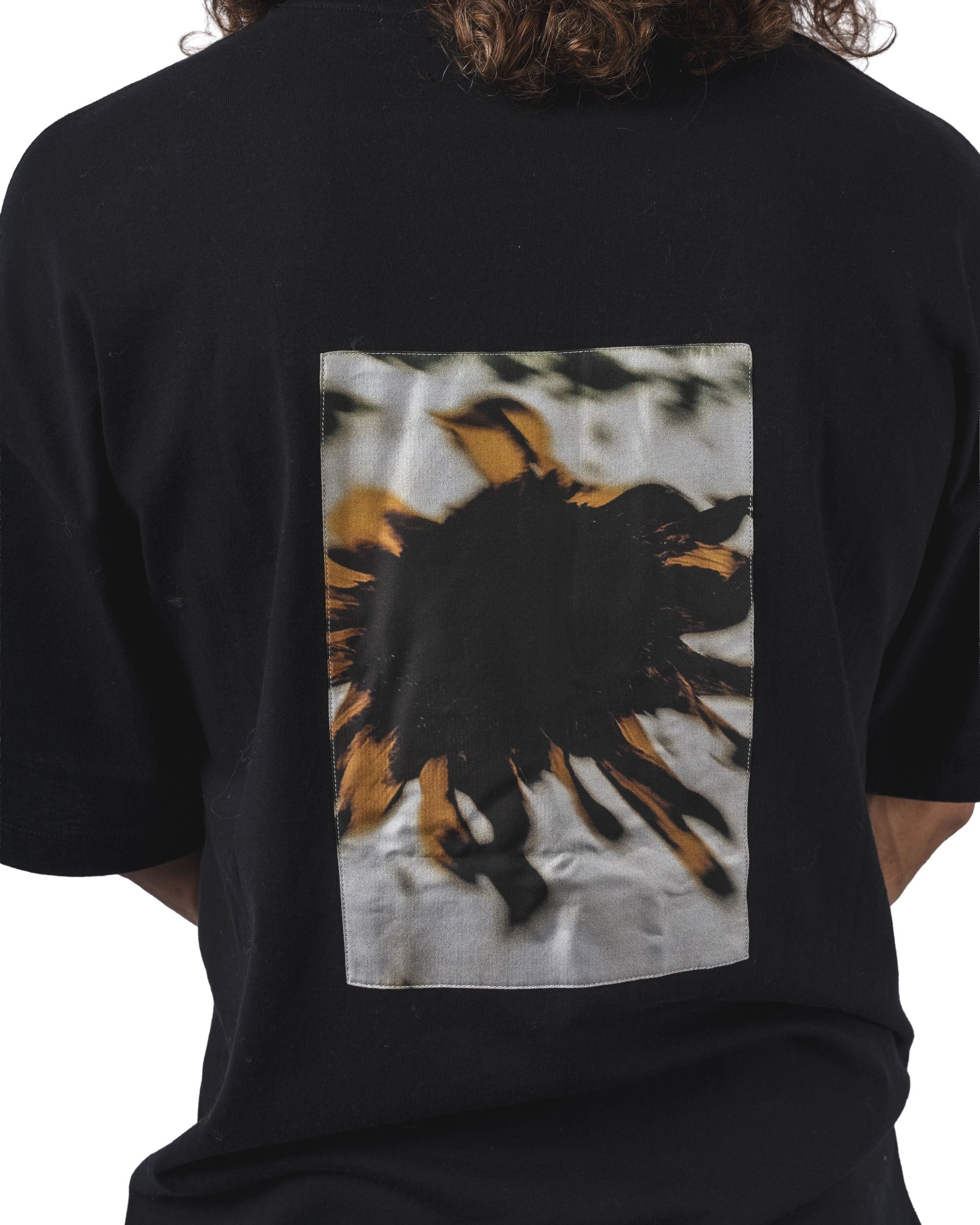 Loose Fit Tshirt Landart 02 Print